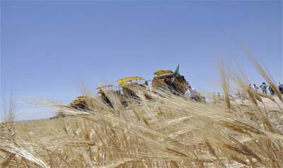 L'Algérie à l'abri des fluctuations boursières