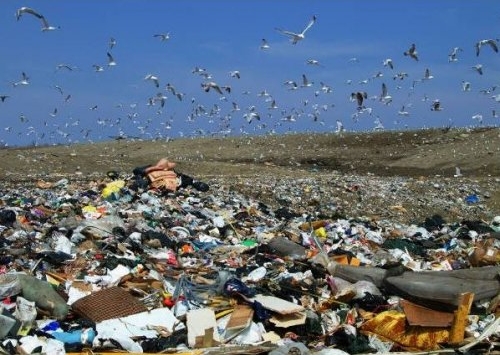 سكان حي بن عبد الله بالبويرة يعانون في صمت بسبب المفرغة العمومية