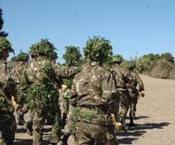 استشهاد 3 عسكريين و4 عناصر حرس بلدي في انفجار قنبلة دقائق قبل الإفطار بسيدي بلعباس