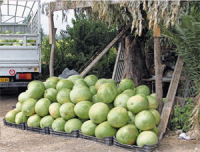 « Aucune plainte de la part des consommateurs »