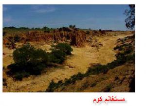 محارق أولاد رباح بمنطقة الظهرة ولاية مستغانم..جريمة ضـد الإنسانية