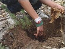 Plus de 1,2 million d'hectares reboisés à l'horizon 2020