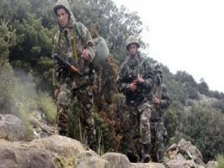 Armée nationale populaire Algérienne classé 31eme à l'échelle internationale des armées du monde