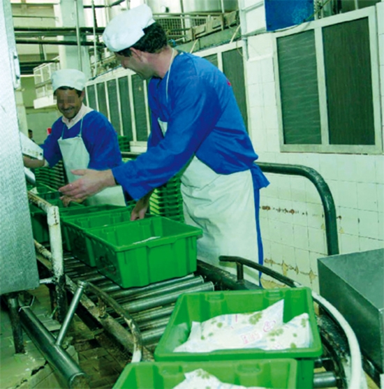 إنتاج أزيد من 70 مليون لتر من الحليب بسيدي بلعباس