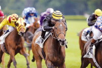 ERG MEHARECHE BIEN PLACE