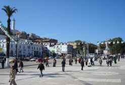 سوق مغطاة متعددة الأنماط في صالح بولكروة بسكيكدة