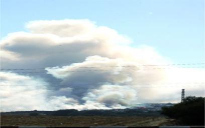 Des centaines d'hectares de couvert végétal détruits par le feu