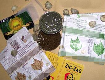 حجز 12 ألف كيس شمة مقلدة في المسيلة