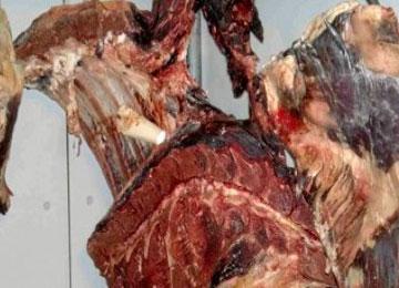 حجز 15,7 قنطار من اللحوم والمواد الغذائية الفاسدة بأم البواقي