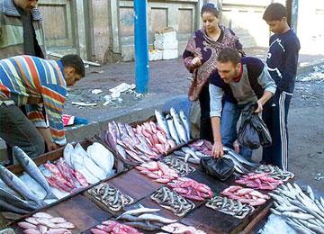 ثلاثة وزراء يتفقدون بومرداس دفعة واحدة