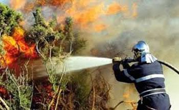 Le feu continue à ravager les forêts