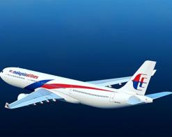 مجلس الأمن يدين بالإجماع إسقاط الطائرة الماليزية