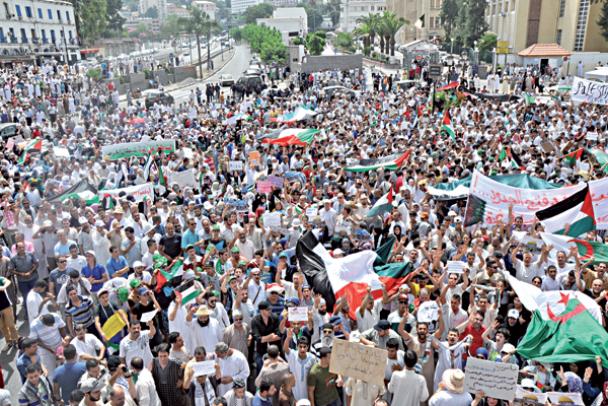 آلاف الجزائريين يسيرون في العاصمة غضبا ل