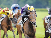 CAGNOTTE POUR UNE ARRIVEE SURPRISE