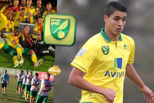 قفايطي قلب دفاع نورويتش الانجليزي