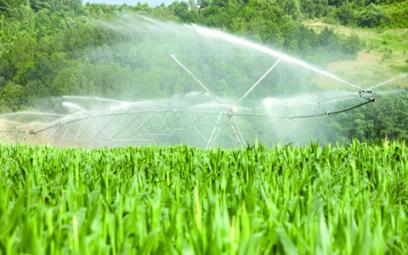 L'irrigation d'appoint, seul palliatif au stress hydrique