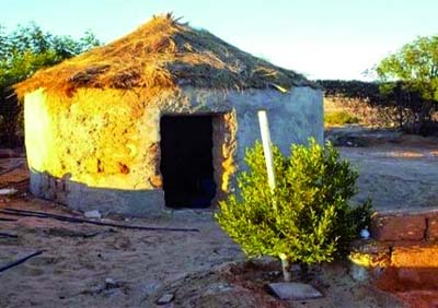 Préservé par les Touareg du Tassili