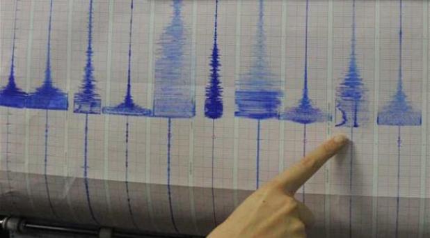 وفاة إمرأة و51 جريح إثر الزلزال العاصمة