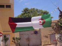 مسيرة بورقلة للتضامن مع الشعب الفلسطيني