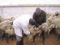 Après Bouira et Béjaïa