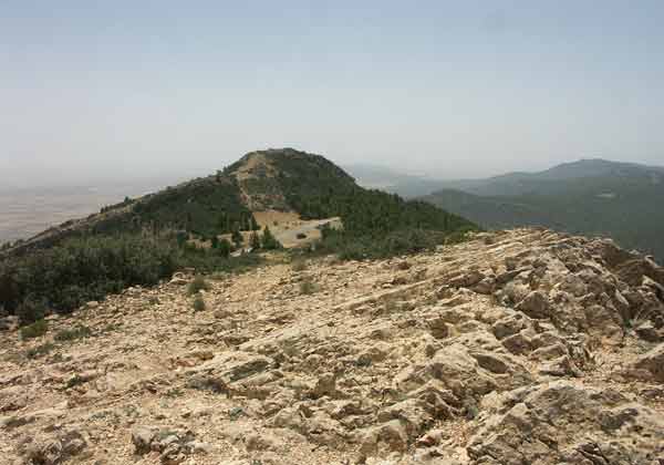 Vaste opération algéro-tunisienne en vue pour 