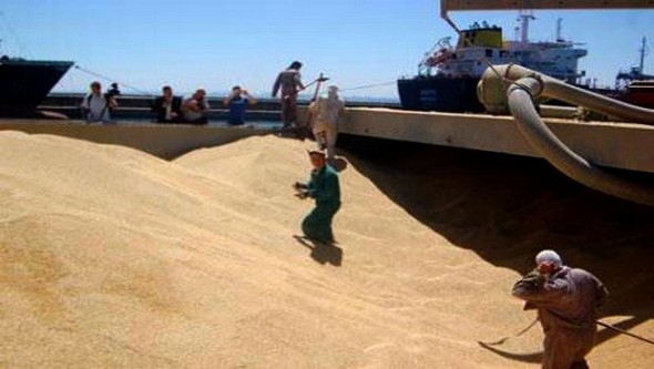 Légère hausse des importations algérienne de blé le 1er semestre 2014