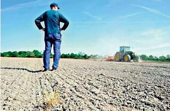 Des fellahs en faillite