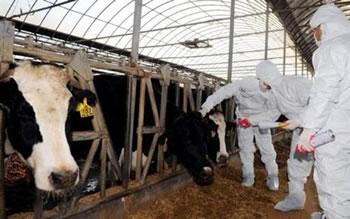 Absence de sensibilisation sur la vaccination