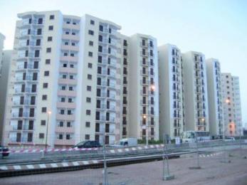 المقصون من السكن الاجتماعي يخرجون في البويرة