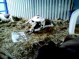 Après avoir touché 16 wilayas du pays