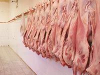 Alors que 6 cas sont confirmés et 7 autres suspectés