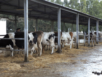 « La situation n'est pas aussi catastrophique », selon le ministère