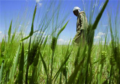 Une bonne année 2014 en termes de production
