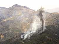 Alors que 80 hectares de chêne-liège et d'oliviers ont été touchés
