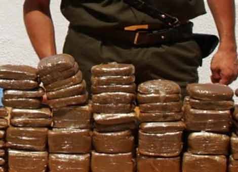 Le phénomène de la drogue en Algérie