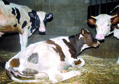 La situation est maîtrisée