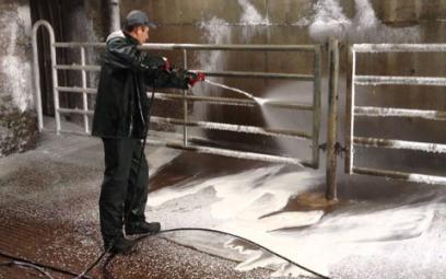 La fièvre aphteuse en phase d'être maitrisée