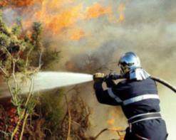 الحرائق تأتي على 19 هكتارا من الغابة و500 شجرة مثمرة بالمدية