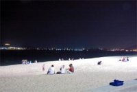 Un nouveau hobby est né