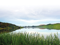 Je vous écris de Reghaia