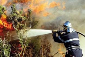 15.000 ha de couvert végétal partent en fumée