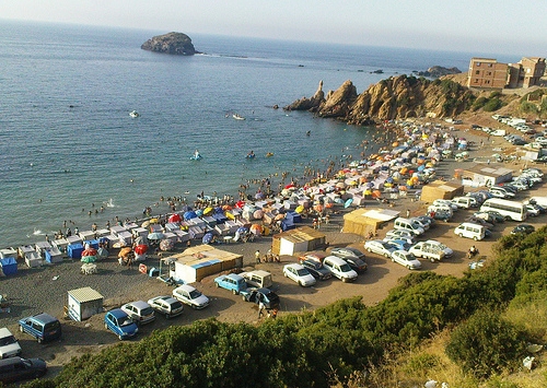 النفايات، عصابات الباركينغ وغياب الغطاسين ميزة شواطئ تيبازة