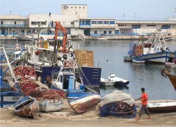 عزوف جماعي للتجار عن مسمكة سيدي بلعباس