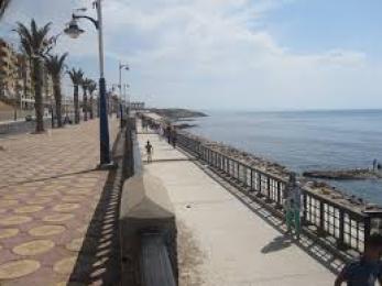 عمليات واسعة ببلدية مستغانم لتحسين الوسط الحضري