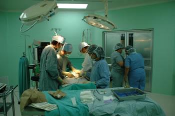 Les dessous d'un marché juteux