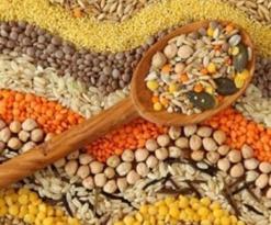 تراجع إنتاج الحبوب بولايتي تيارت وغليزان