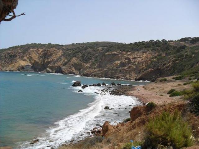 جيجل... شاطئ 