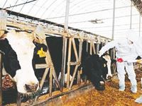 Grâce aux dispositifs de prévention mis en place