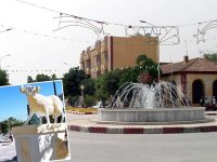 Je vous écris de Djelfa