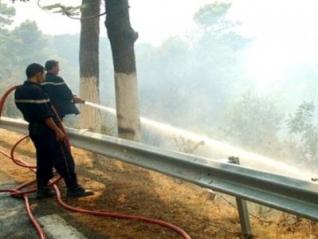 74 incendies maîtrisés à Alger depuis le lancement du plan de lutte contre les feux de forêt